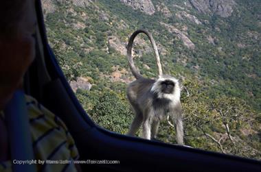 01 PKW-Reise_Mount_Abu-Udaipur_DSC4173_b_H600